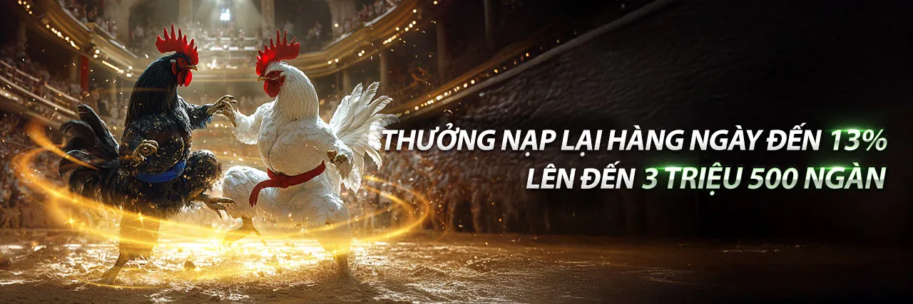 Hình ảnh đại diện cho Điều khoản và Điều kiện của 88x khuyến mãi